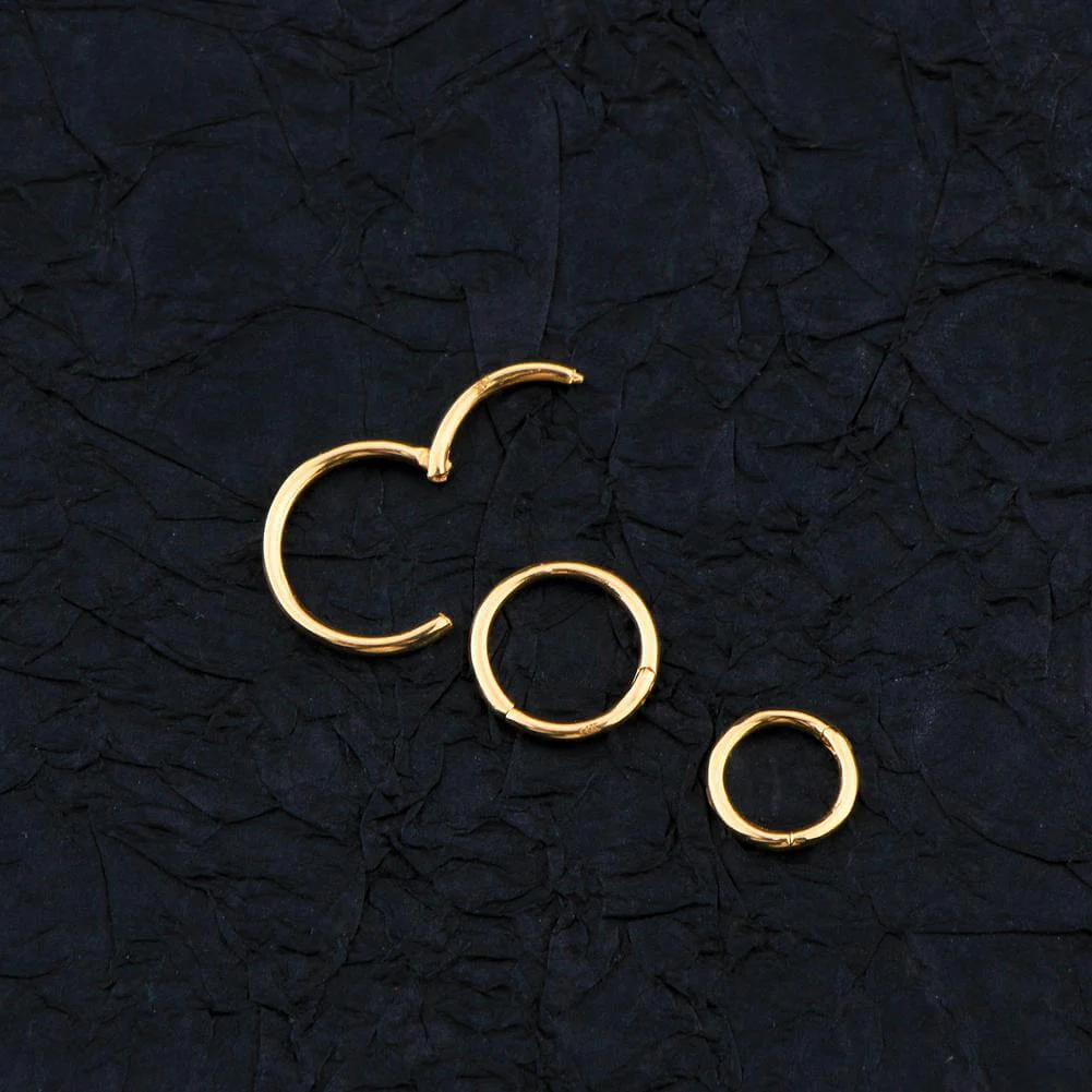 18G 14K Gold Segment Nose Hoop - Image 3