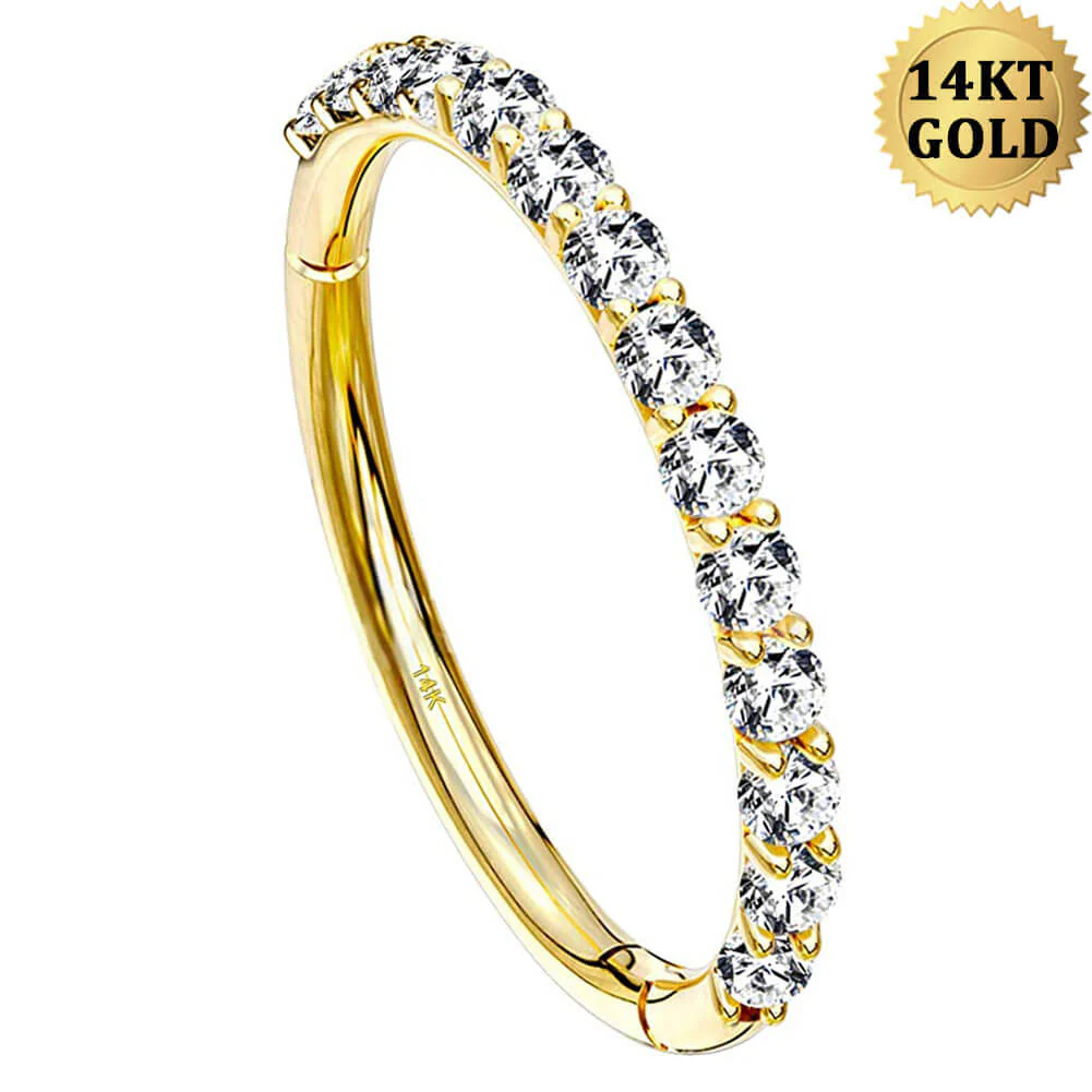 20G 14K Gold CZ Segment Nose Hoop - Image 4