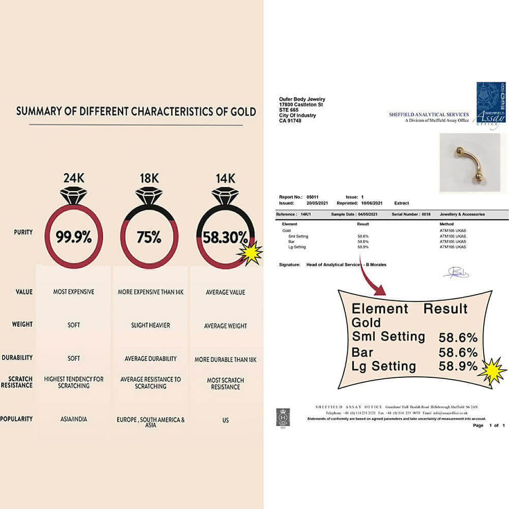 14K Gold Curved Barbells Rook Earring - Image 4