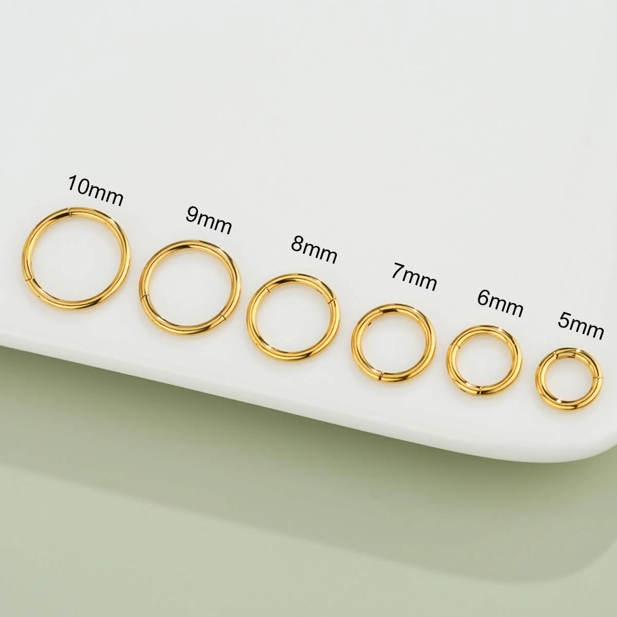 16G Classic Hinged Segment Hoop - Image 6